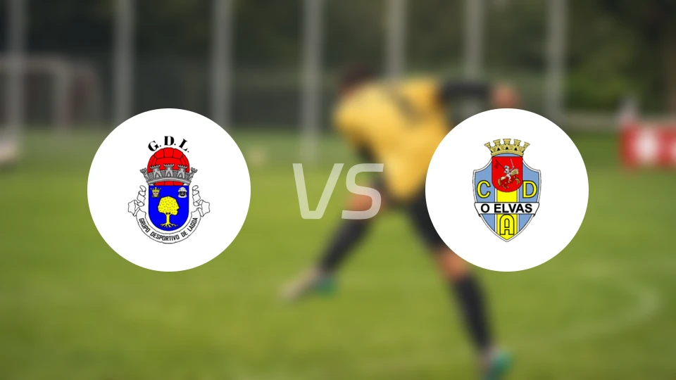 拉高亚vs伊维斯