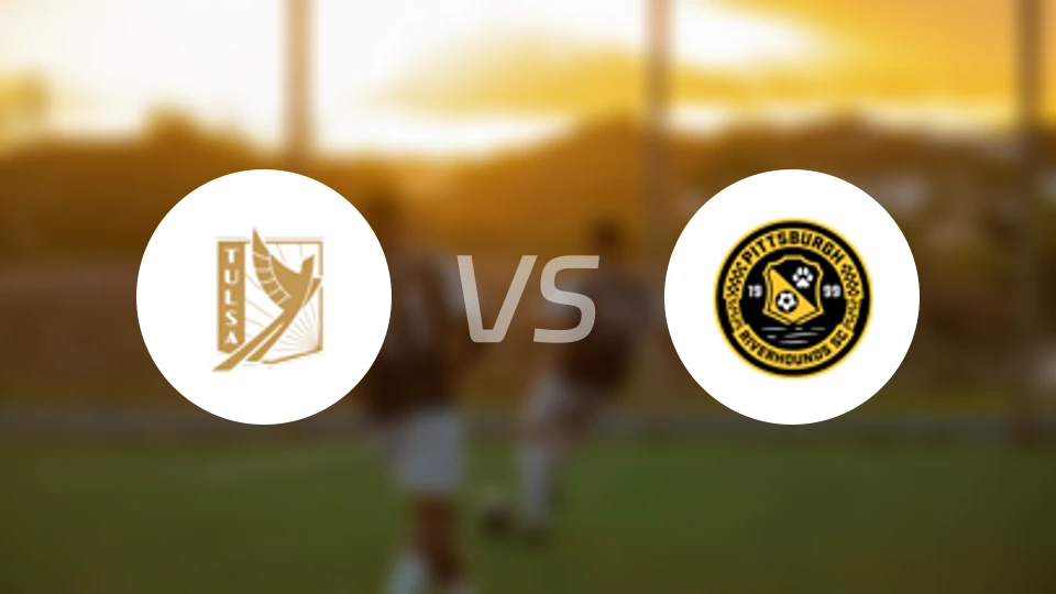 塔尔萨钻机工vs匹兹堡猎犬河队