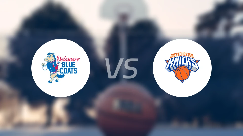 特拉华蓝衫vs韦斯特彻斯特尼克斯