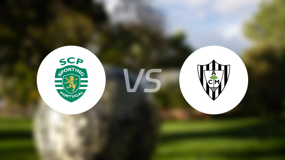 葡萄牙体育vs马琳赫尼斯