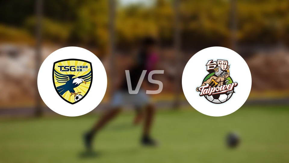 南市台钢vs台湾电力