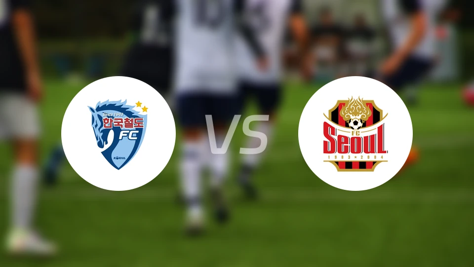 大田地铁vsFC首尔