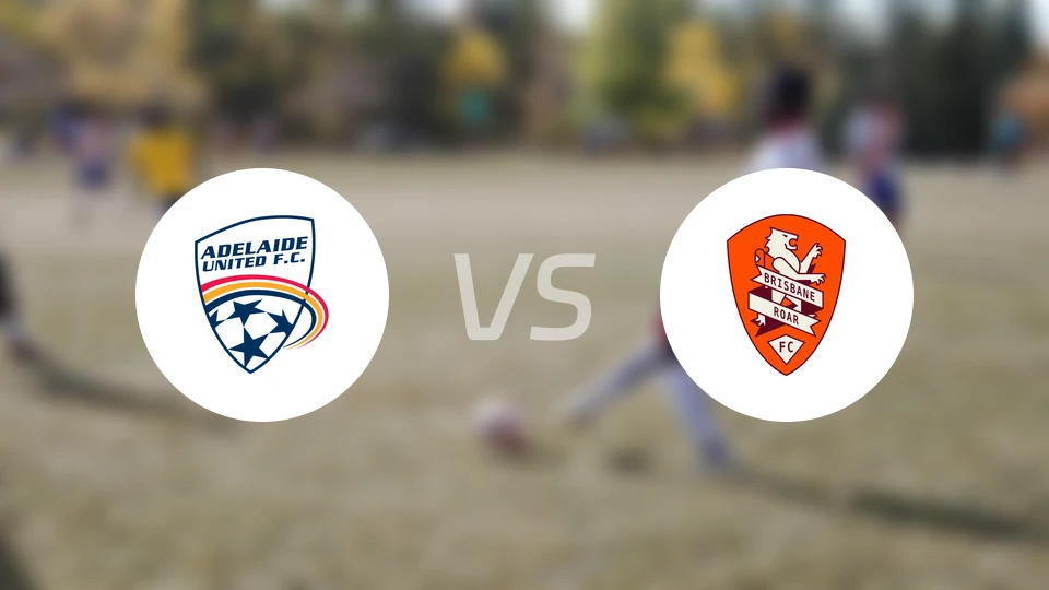 阿德莱德联vs布里斯班狮吼